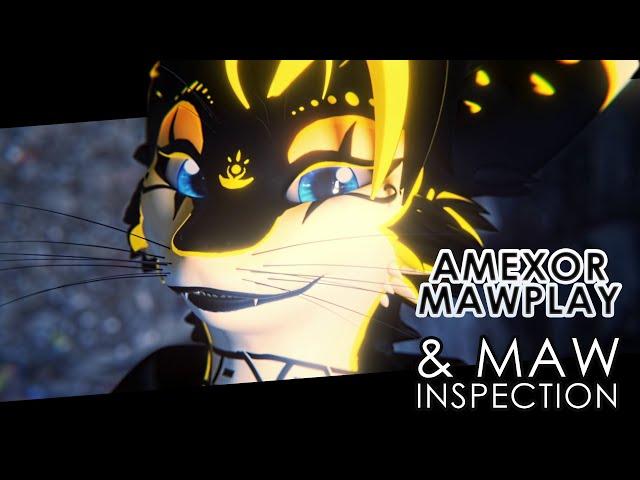 [MAWPLAY] Amexor Mawplay & Maw Inspection