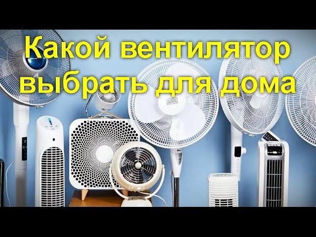 Какой вентилятор выбрать для дома - Лопастный колонный или безлопастный