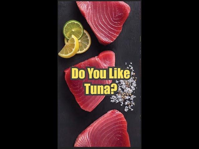 Do You Know Where Your Tuna Comes From? | #ISAshorts