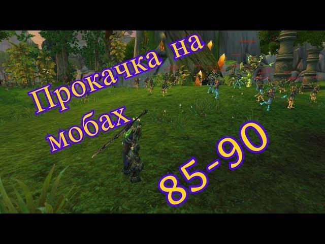 Прокачка на мобах  85-90   Временный остров World of Warcraft