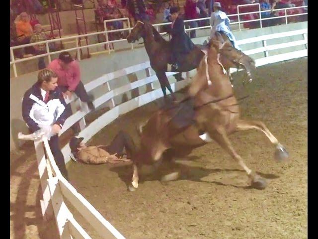 What Caused This "Big Lick" Tennessee Walking Horse To Throw His Rider Asheville, NC???