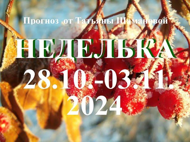 РЫБЫ. НЕДЕЛЬКА   с 28 октября  -  по 03 ноября 2024 года. ТАРО прогноз.  Татьяна Шаманова.