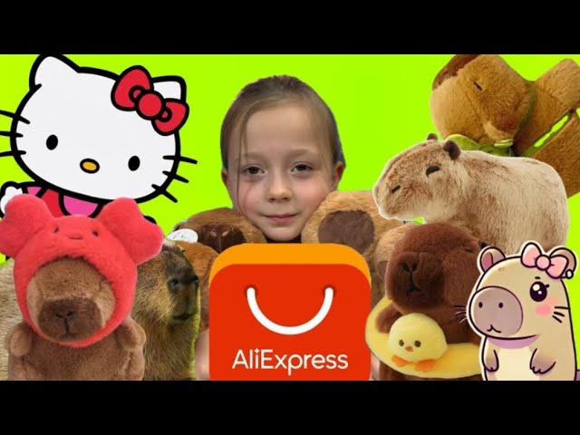 Распаковка Заказа AliExpress | Часть 2 | Еще Больше Капибар | Hello Kitty