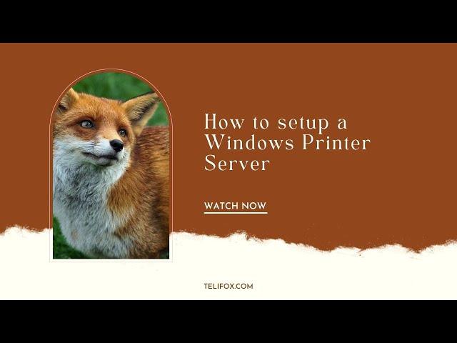 How to setup a Windows Printer Server