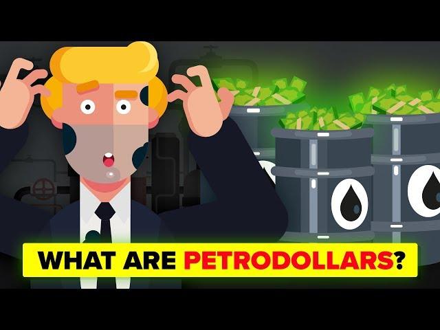 How Petrodollars Affect The US Dollar And The World Economy?