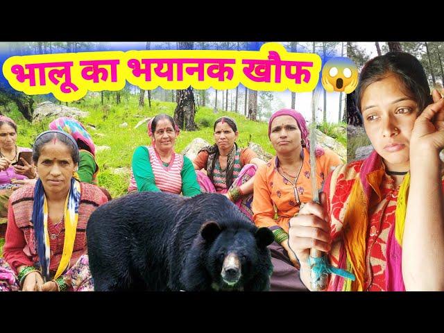 भयानक जंगल में भाभी ने छोड़ा अकेला  || Lifestyle Vlog || Public Reaction || Pahadi Girls #lifestyle