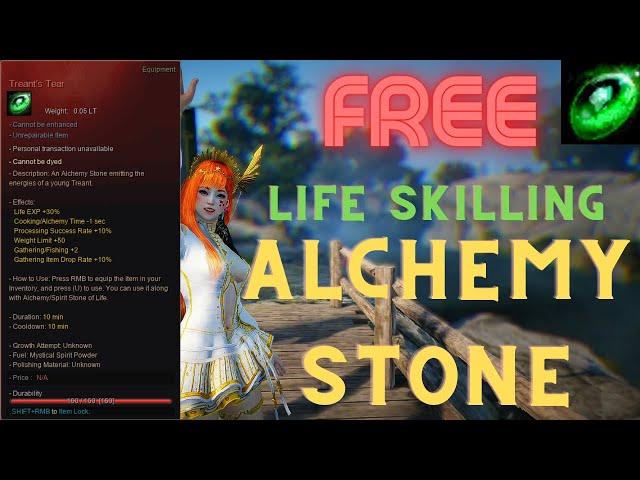 FREE Life Skilling Alchemy Stone Before Season End's How To Get Treant's Tear Guide Black Desert