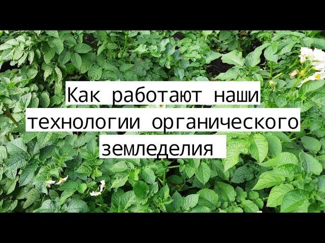 Живая почва Плодородие почвы Здоровый урожай