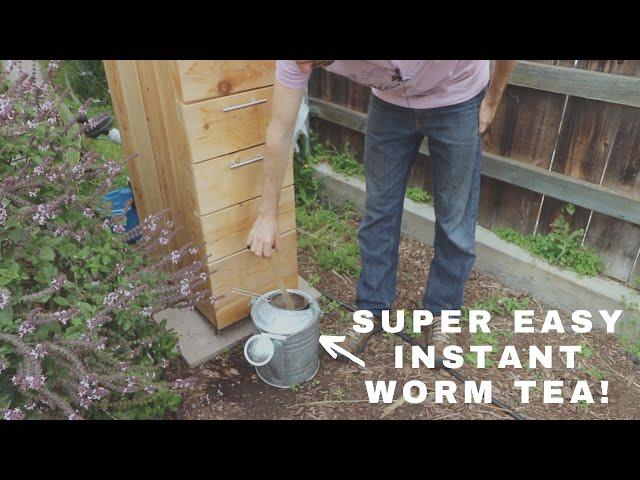 The Best Vermicompost System in the World?