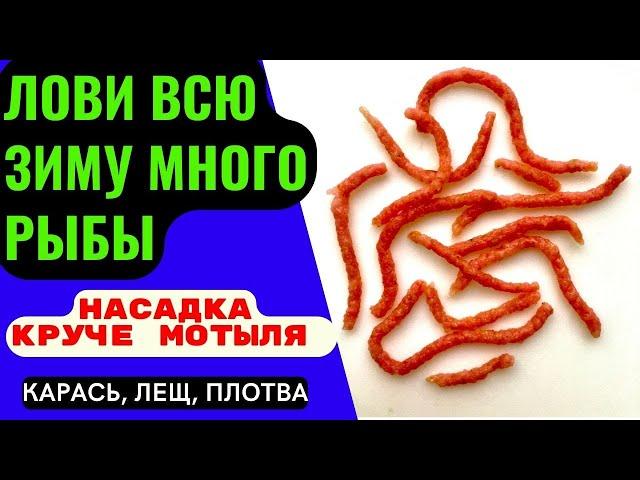 Насадка для рыбалки на КАРАСЯ, ЛЕЩА, ПЛОТВУ. ЗАМЕНИТ МОТЫЛЯ,  обеспечит клёв на всю зиму.