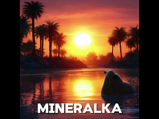 (OLD) MINERALKA - Last