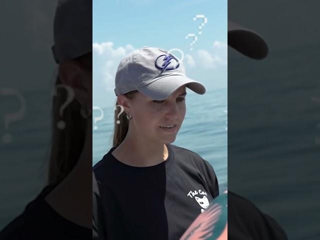 FISH CPR?!?!  New episode out now!