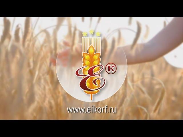 Emelianov & K, Ltd. Introduction. Корпоративный ролик на английском языке.