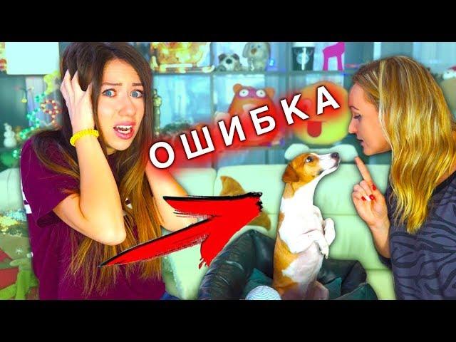 5 Ошибок Каждого Хозяина Дрессировка Собак С чего начать | Elli Di Pets