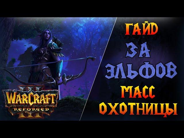 Самая простая стратегия - масс охотницы! \\  Warcraft 3 Reforged - Гайд за Ночных Эльфов