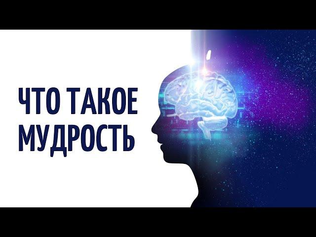 Что такое мудрость и как её приобрести