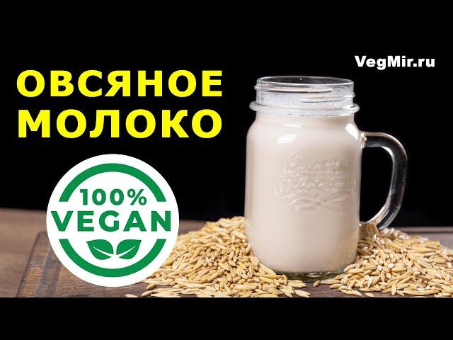 Whole grain OAT MILK – a recipe for cooking vegetable milk at home