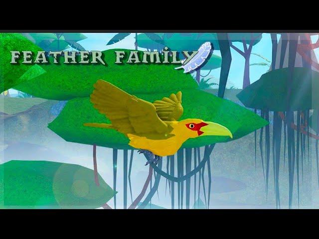 The new Toucan and Hummingbird skins ARE SO COOL! | ROBLOX FEATHER FAMILY