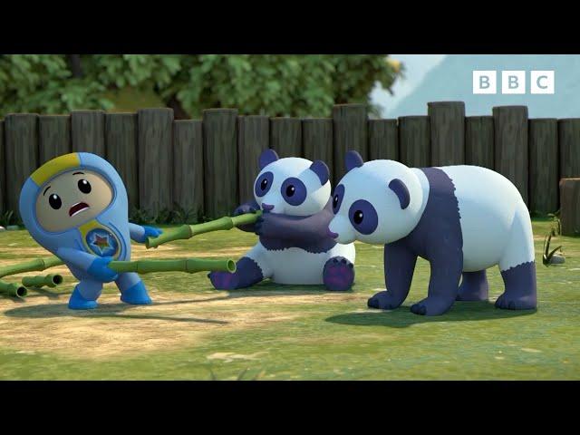 The Most Amazing Animals | Go Jetters