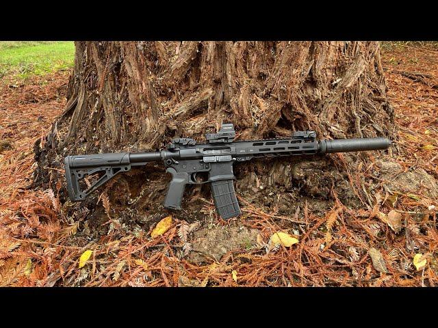 PWS MK109 Pro SBR, SilencerCo SCO15 Lower and Original Saker 7.62