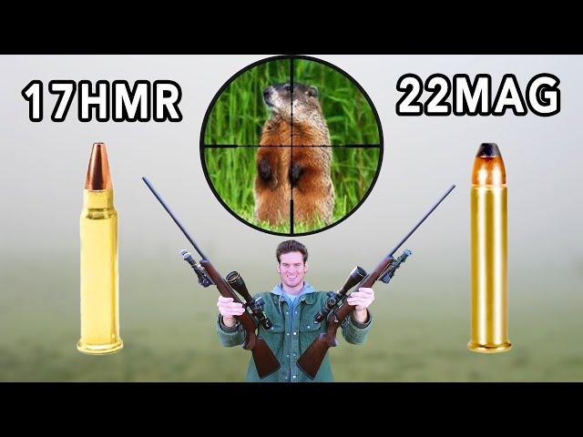 17HMR vs 22MAG Hunting!