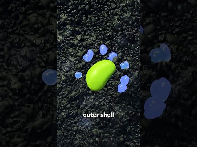How A Seed Grows Into A Plant 