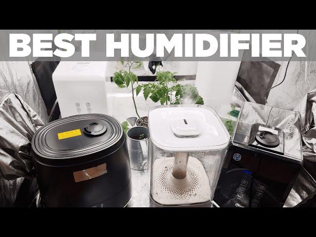 Best Grow Tent Humidifier - From Years of Growing - Controlling Humidity with Warm and Cool Mist