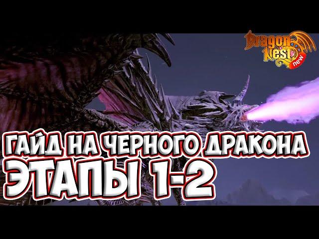 Гайд на Черного Дракона • Этапы 1-2 [New Dragon Nest]