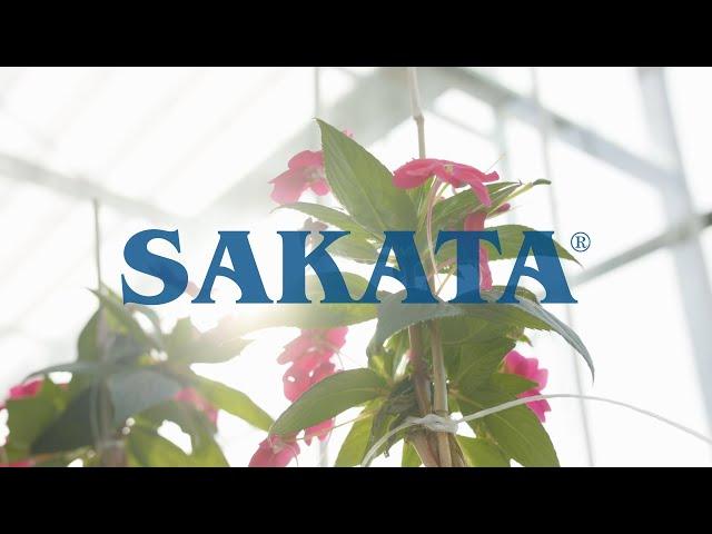 Sakata Seed America Company Story