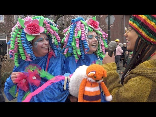 Carnavalsoptocht Oisterwijk 2017 samenvatting door Oisterwijk in Beeld