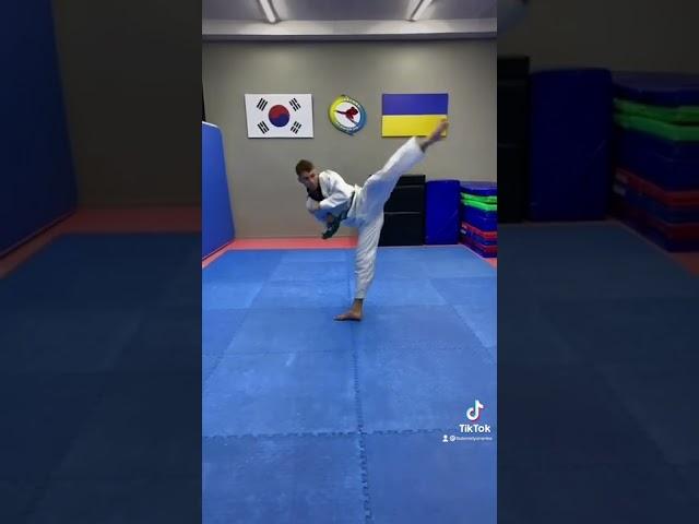 Taekwondo/What belt do you have?