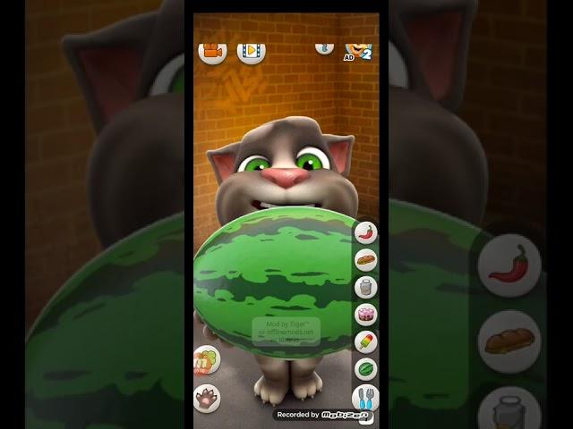 Talking tom Echo 11