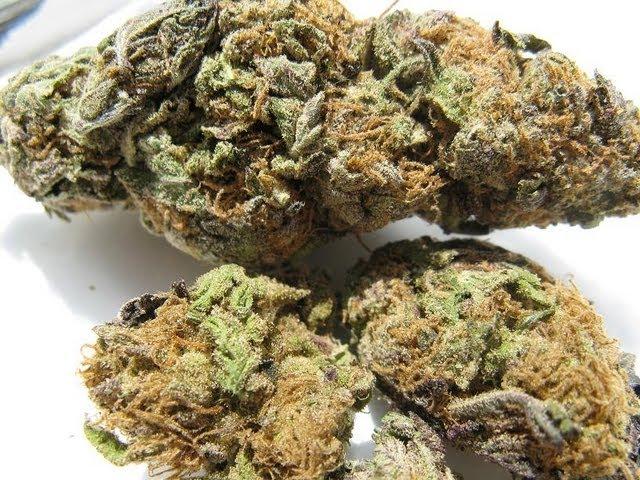 Marijuana Now Legal In The United States?