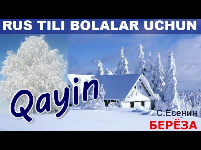 Qish haqida ruscha sherlar bolalar uchun. "Qayin" S.Yesenin.  UZRUSTILI