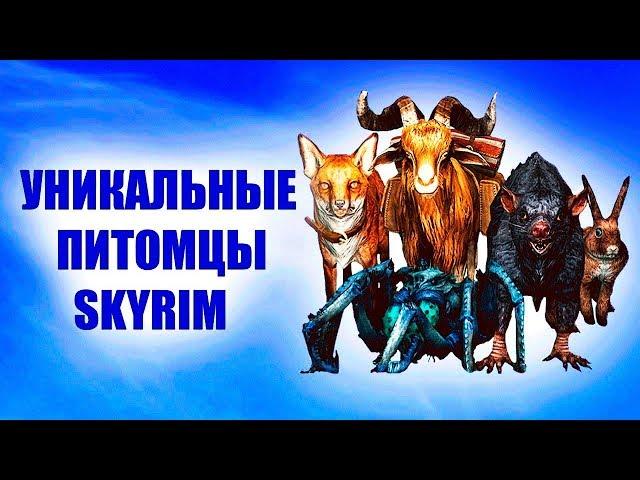 SKYRIM - НОВЫЕ УНИКАЛЬНЫЕ ПИТОМЦЫ Creation Club