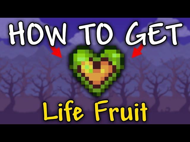 How to Get Life Fruit in Terraria 1.4.4.9 | Life Fruit Terraria