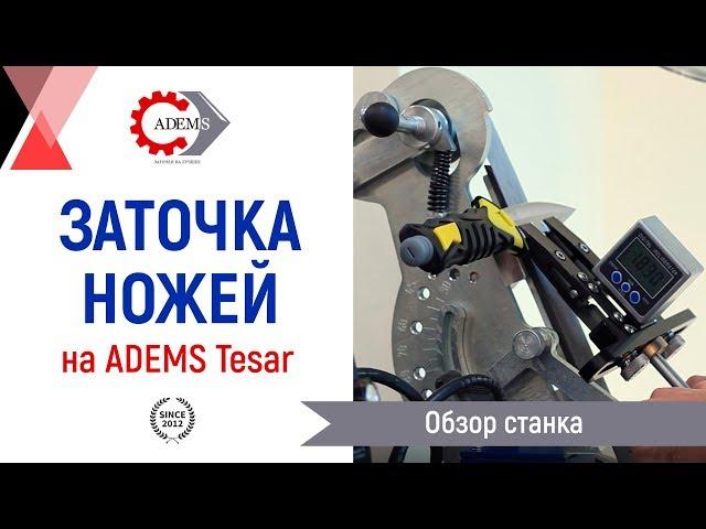 Станок для заточки ножей ADEMS Tesar/ADEMS Tesar belt grinding machine for sharpening knives