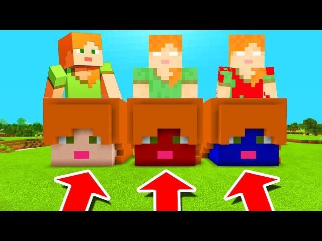 Minecraft PE : DO NOT CHOOSE THE WRONG ALEX HEAD! (Alex, Alexbrine & Alex.EXE)