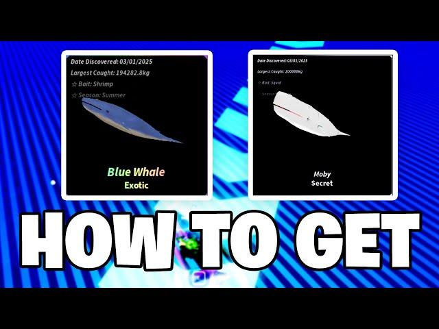 Roblox Fisch - HOW TO GET & CATCH BLUE WHALES & SECRET MOBY (Full Guide - Location)