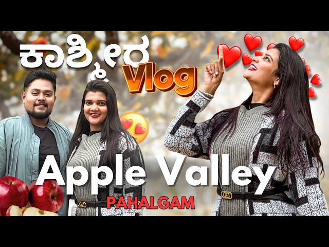 ಕಾಶ್ಮೀರದ Apple Garden | Apple Valley Tour in Kashmir | Enroute Pahalgam |Best Apple Juice in Kashmir