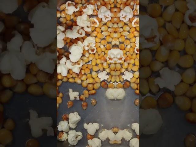 Popcorn in bed #shorts #viral