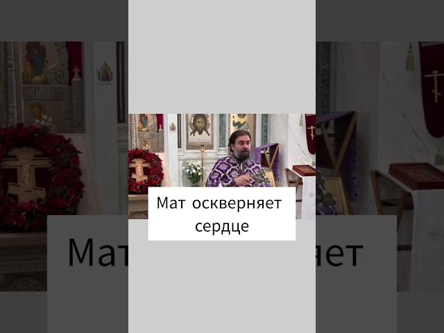 Мат оскверняет сердце. Отец Андрей Ткачёв