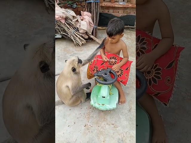 monkey's Emotional video #shorts