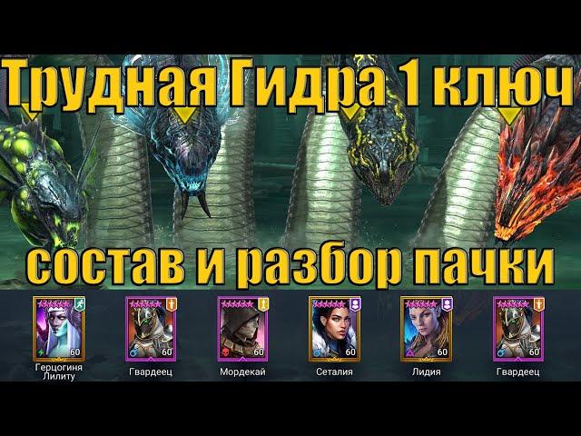 Raid SL: Трудная Гидра с Элитными гвардейцами ТОП сундук за 1 ключ, 2ой цикл