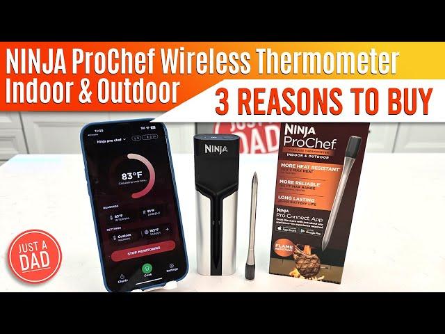 NINJA ProChef Wireless Meat Thermometer WP100  3 Reasons to Buy