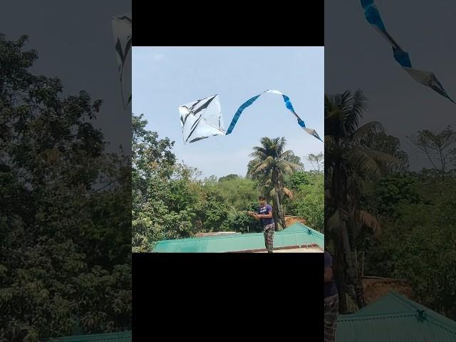 Patang Flying 🪁🪁#shorts #youtubeshorts #kite