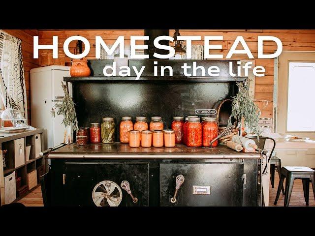 Homestead Day In The Life | Homestead Week in the Life