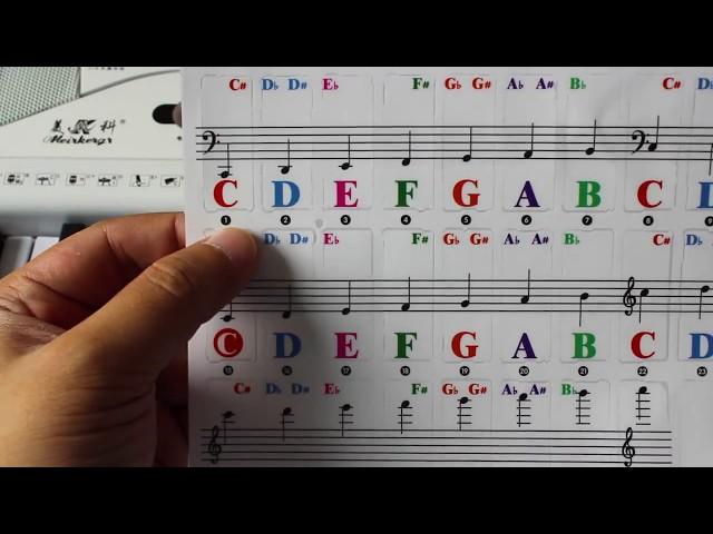 Piano Keyboard Stickers Specially for 61/54/49/37 Key.Colorful Bigger Letter,Thinner Material