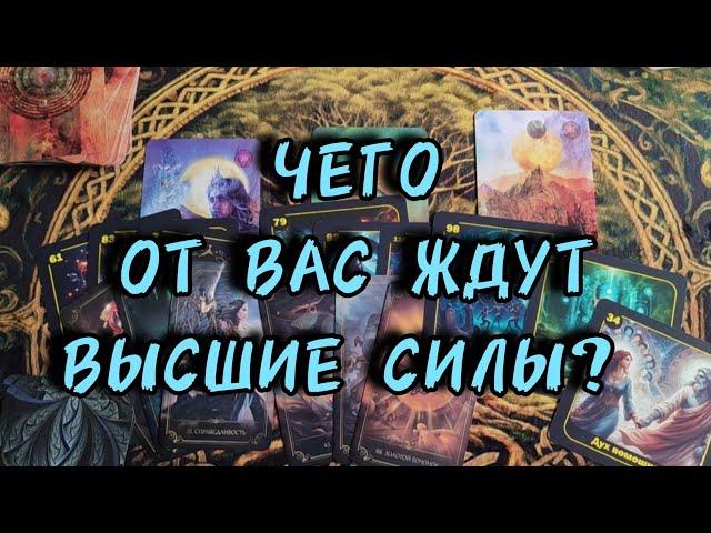 🪷Чего от вас ждут высшие силы?