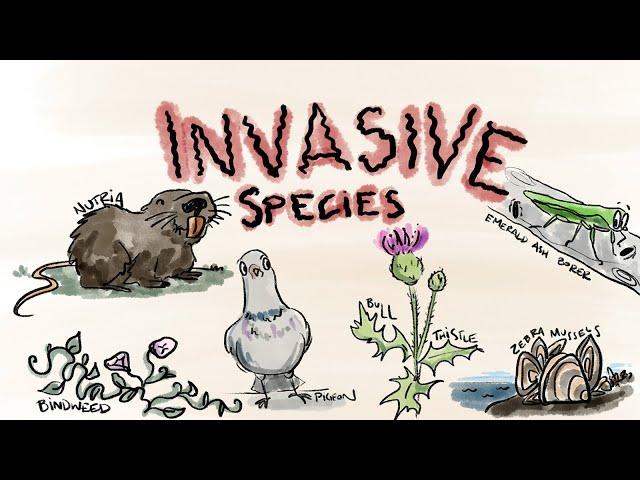 What Are Invasive Species?